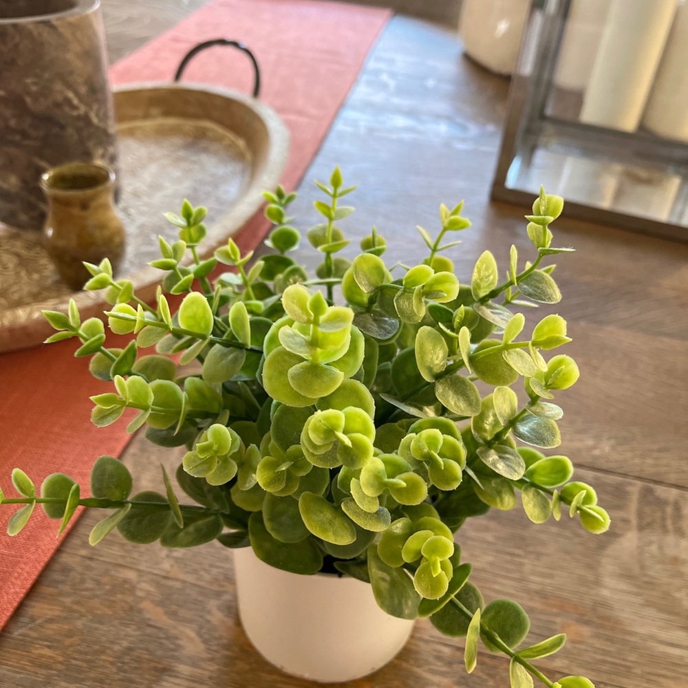 Faux eucalyptus Plant in White Pot - Picture 3 of 5